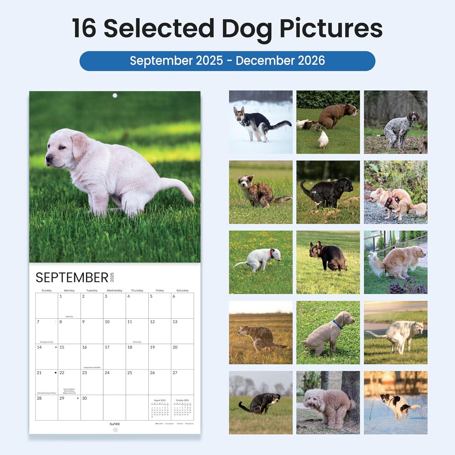 image:imageSUNEE 2026 Calendar for Wall 2026 Large Wall calendar 12x12 Inches with 16 Months from September 2025 to December 2026 Thick Glossy Paper 12 x 24 Open PathwayDog Popping