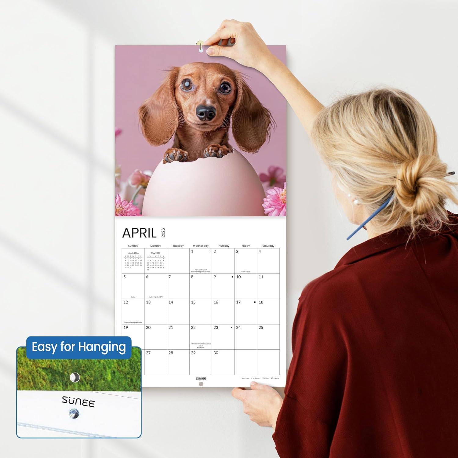 image:imageSUNEE 2026 Calendar for Wall 2026 Large Wall calendar 12x12 Inches with 16 Months from September 2025 to December 2026 Thick Glossy Paper 12 x 24 Open PathwayDachshund