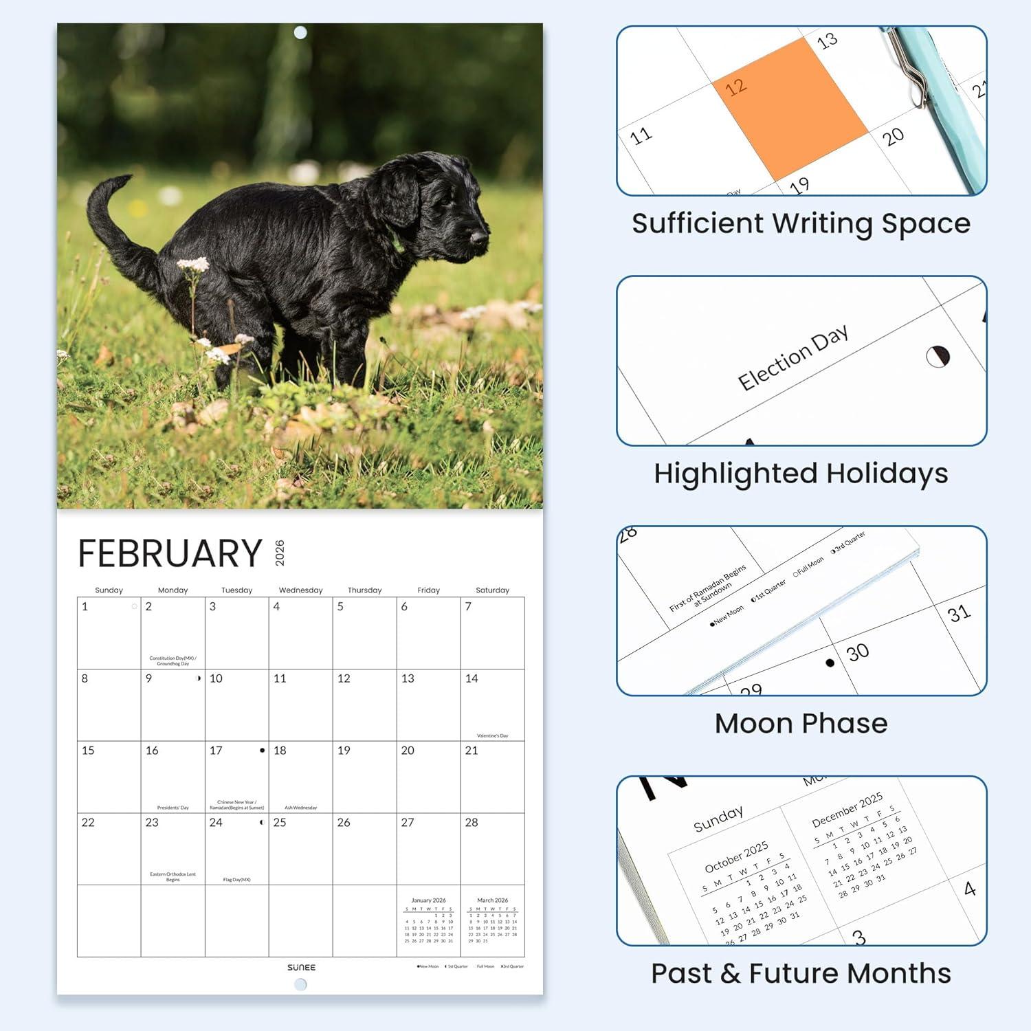image:imageSUNEE 2026 Calendar for Wall 2026 Large Wall calendar 12x12 Inches with 16 Months from September 2025 to December 2026 Thick Glossy Paper 12 x 24 Open PathwayDog Popping