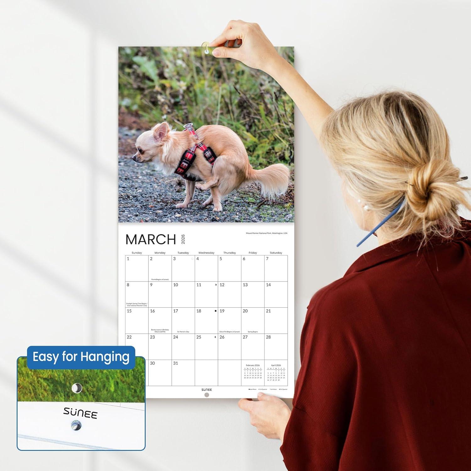 image:imageSUNEE 2026 Calendar for Wall 2026 Large Wall calendar 12x12 Inches with 16 Months from September 2025 to December 2026 Thick Glossy Paper 12 x 24 Open PathwayDog Popping