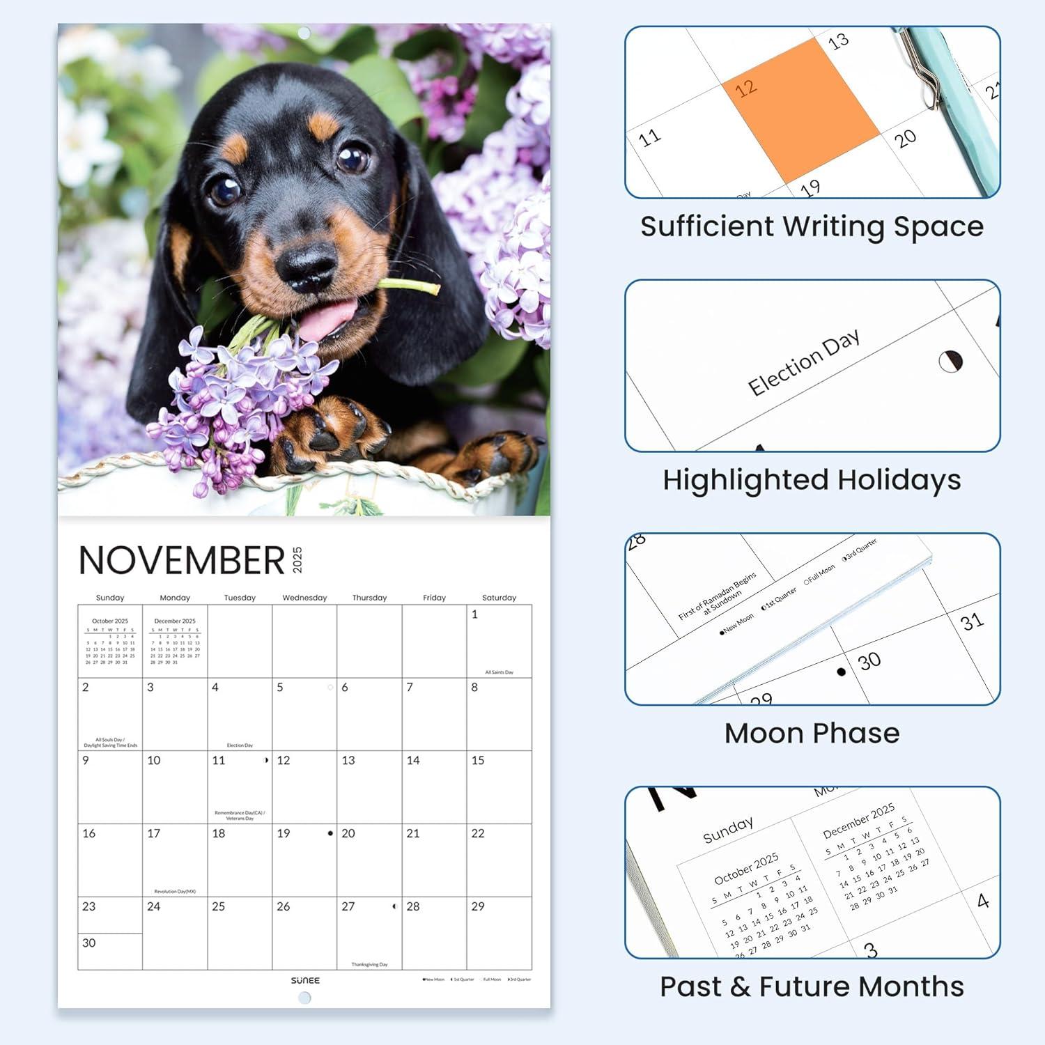 image:imageSUNEE 2026 Calendar for Wall 2026 Large Wall calendar 12x12 Inches with 16 Months from September 2025 to December 2026 Thick Glossy Paper 12 x 24 Open PathwayDachshund