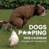 Dog Popping