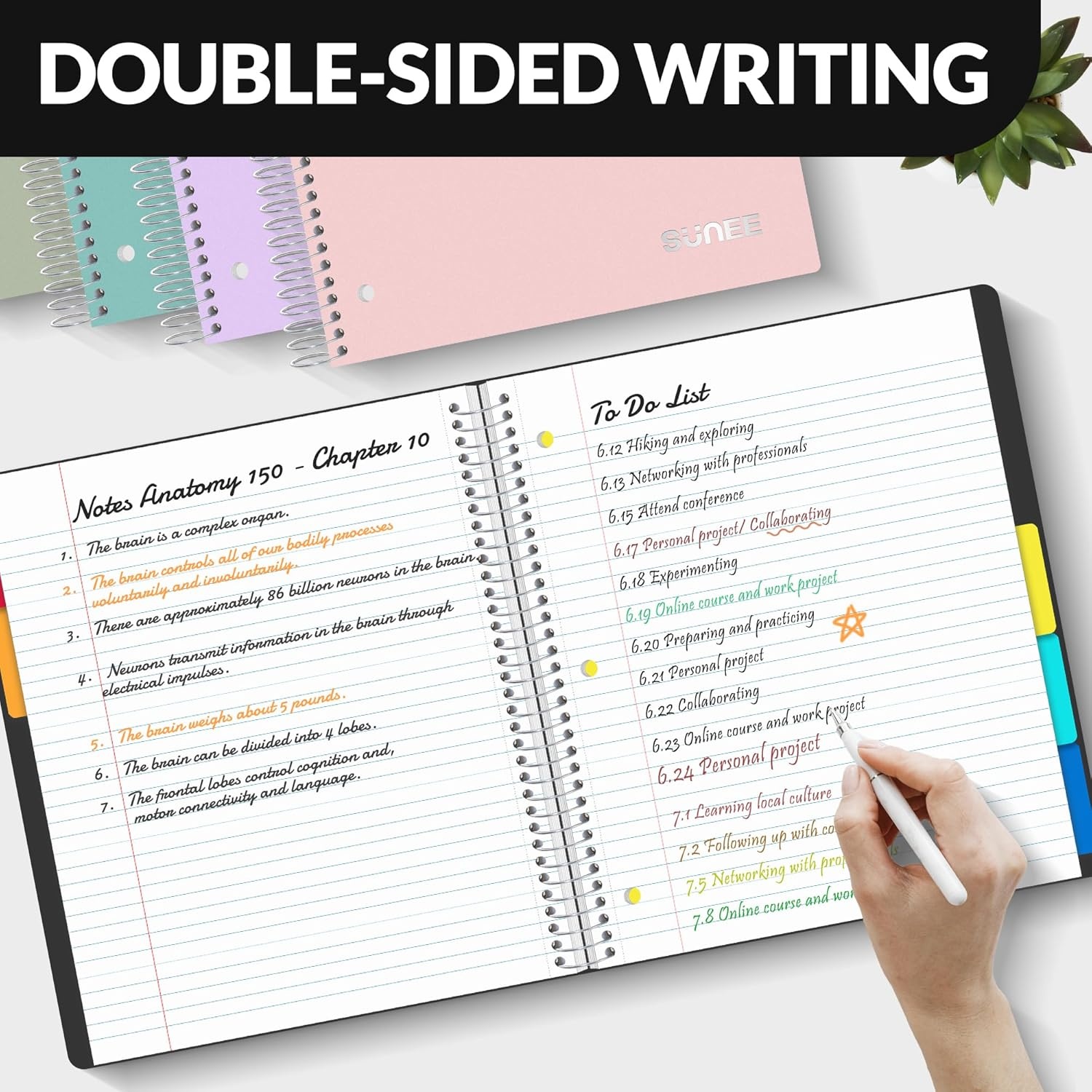 image:imageSUNEE 5 Subject Notebook College Ruled 400 Pages 9x11 5 Pocket Colored Dividers 3Hole Punched Paper PinkBlack