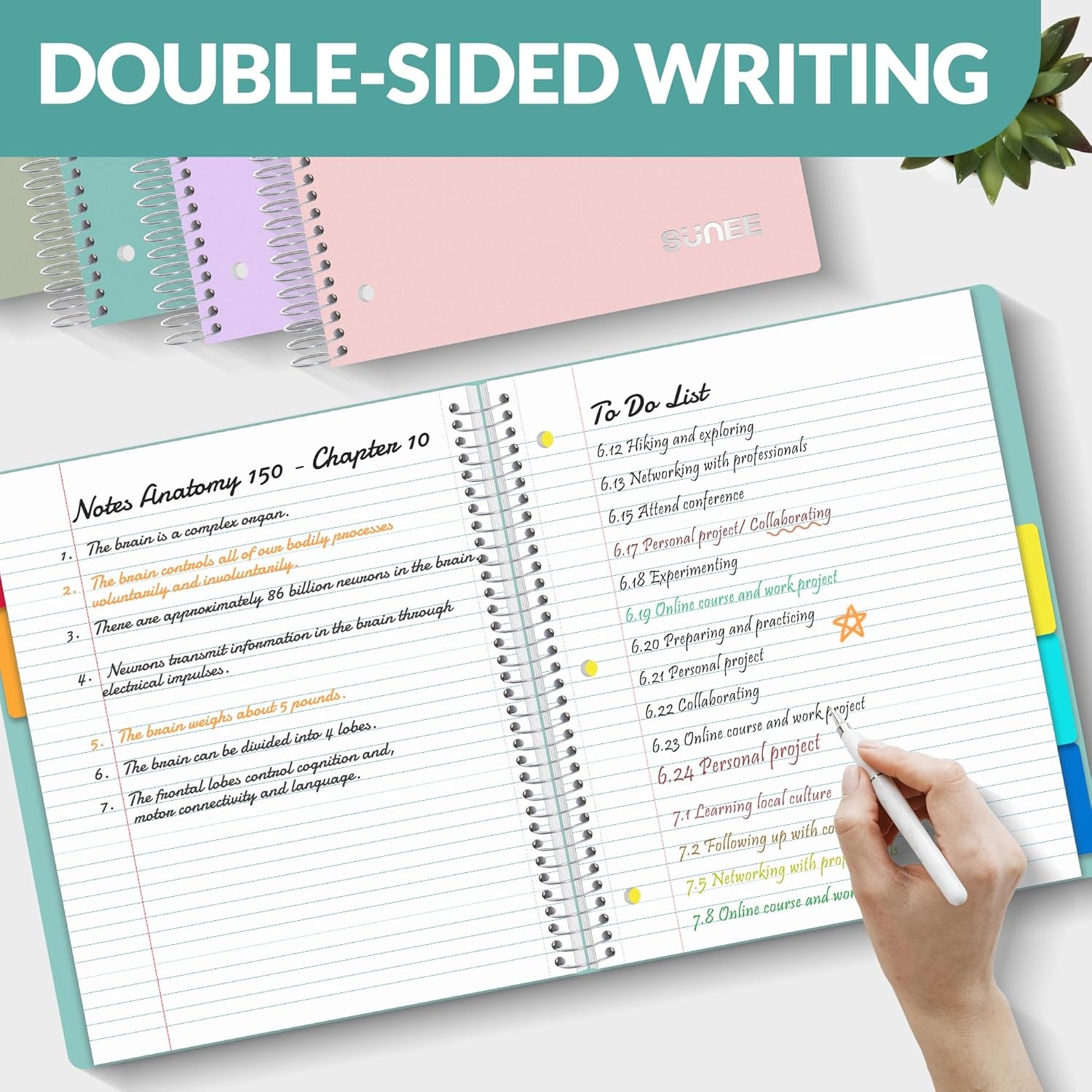 image:imageSUNEE 5 Subject Notebook College Ruled 400 Pages 9x11 5 Pocket Colored Dividers 3Hole Punched Paper PinkTeal
