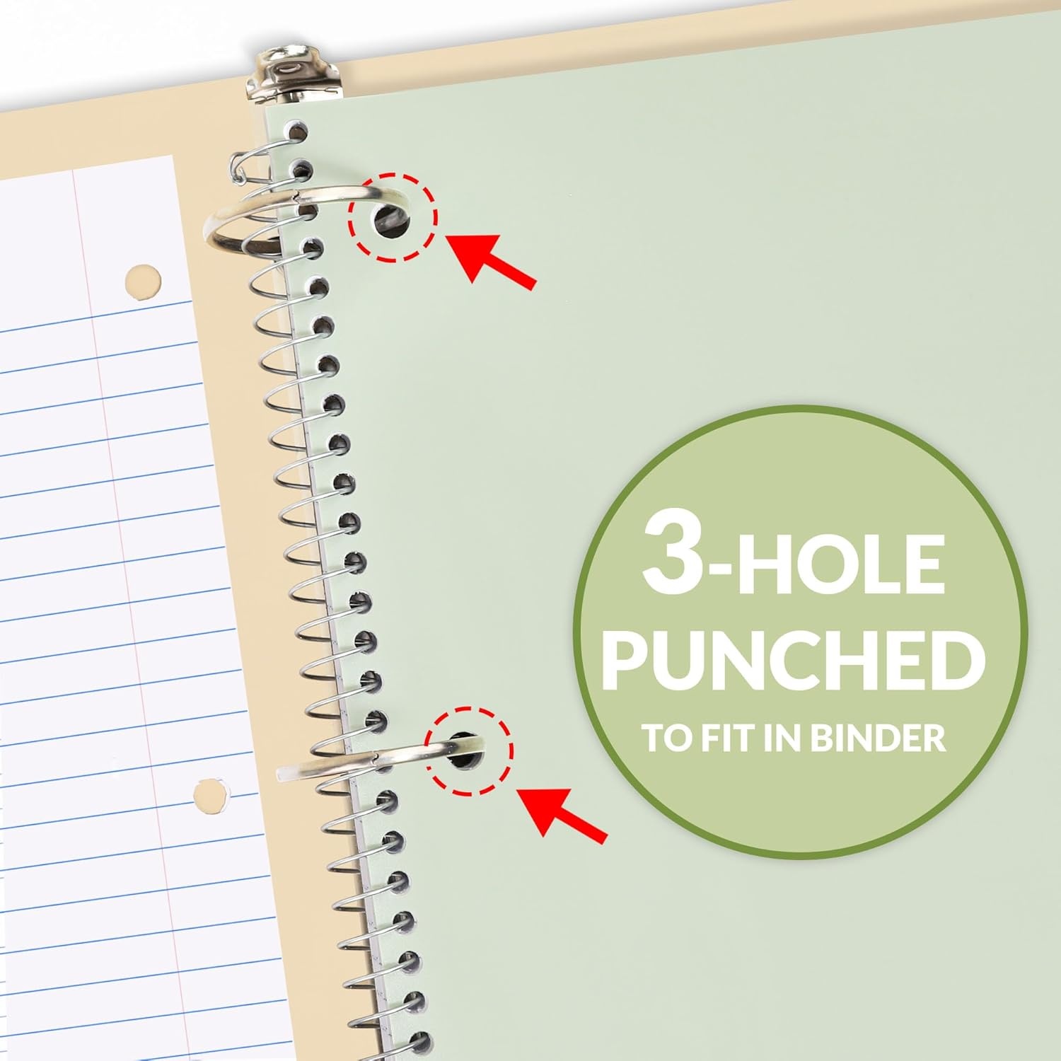image:imageSUNEE Spiral Notebook 1Subject Wide Ruled Paper 8 x 1012 100 Sheets per Notebook 3Hole Punched Paper Water Resistant Cover Doublesided Pockets Spiral Lined Notebooks for School GreenGreen