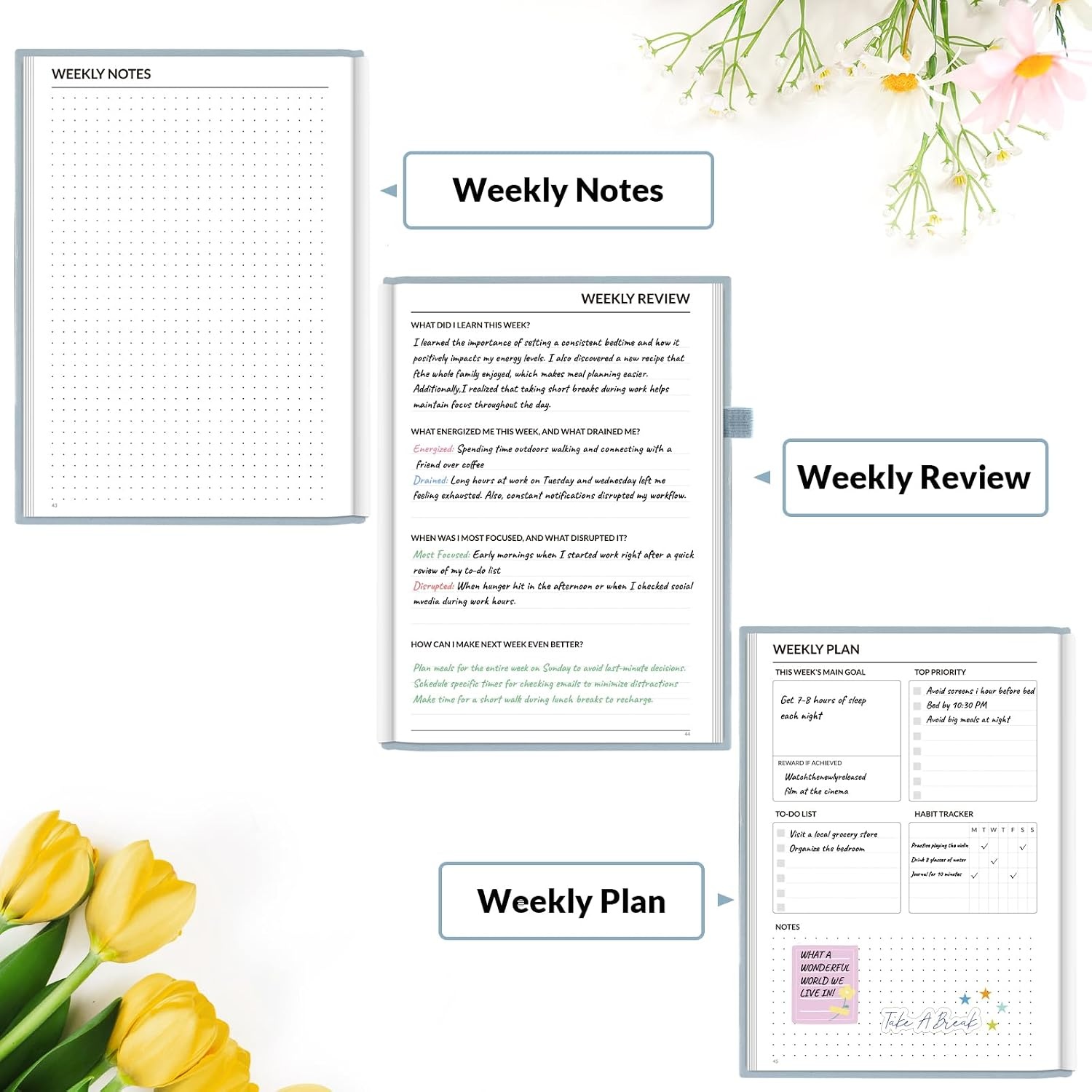image:imageSUNEE Adhd Daily Planner for Adults3Month Undated Daily Weekly Monthly Planner for Productivity Goal Setting Time Management Work amp Life for Men amp WomenVision Board StickersGray Blue